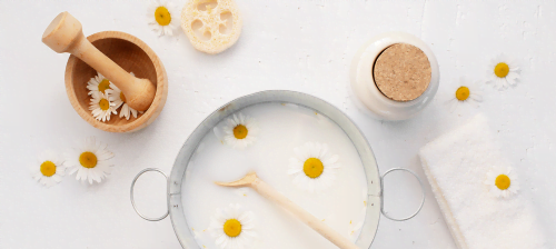 5 motivos para usar Shampoo de Camomila